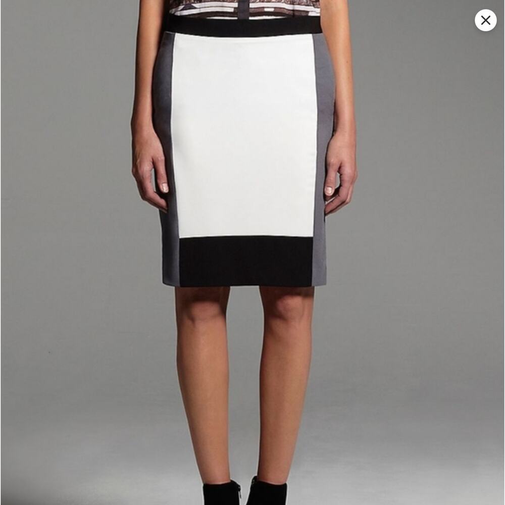 Narciso Rodriguez for Design Nation Back Zip Colorblock Lined Skirt Size 10